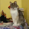 Отзыв от Антонина Полякова